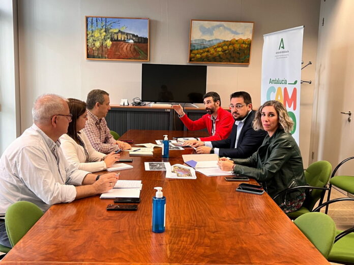 Reunión del alcalde Fran Carrasco y la concejal Alba Oliver con la delegada territorial de Medio Ambiente en Sevilla, Concepción Gallardo
