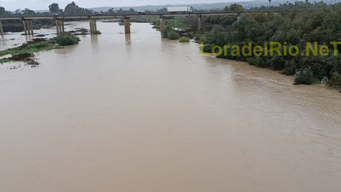 La “OTOÑÁ” soñada en Lora del Río